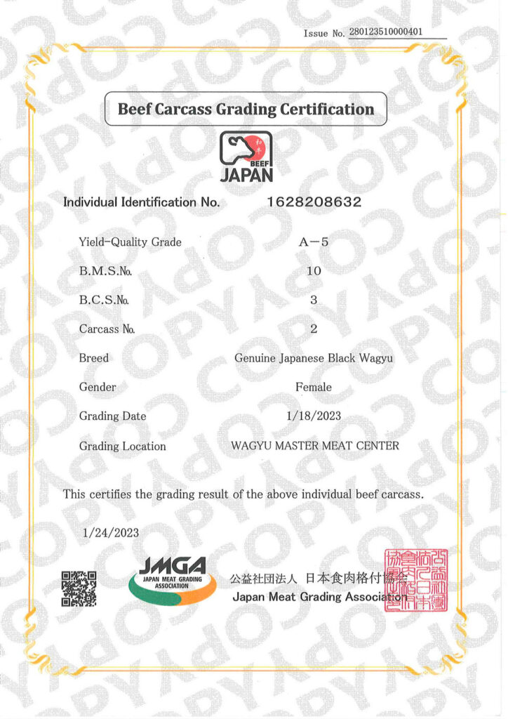 Certyfikat jakości mięsa wołowego z Japonii.